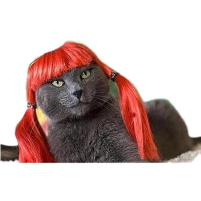 China Elegant Black Curly Pet Wig for Cats and Dogs - Luxurious Soft Adjustable Perfect for Formal Events and Photoshoots for sale