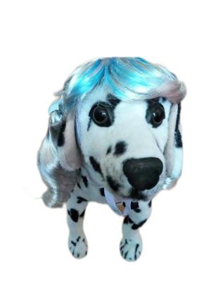 China Wild Zebra Stripe Pet Wig for Dogs and Cats , Unique Eye-Catching for Safari-Themed Parties for sale