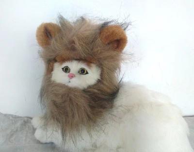 China Adjustable and Breathable Cat Wig Soft Fluffy and Perfect for All Breeds Ideal for Halloween / Cosplay for sale