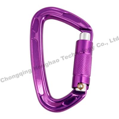 China 22KN D Shape Auto Lock High Strength Aluminium Alloy Climbing Safety Carabiner Hardware for sale