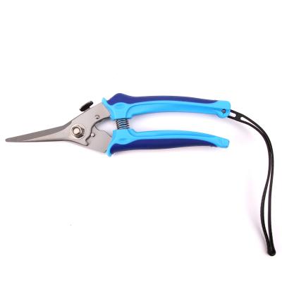 China Private Label Stainless Steel Garden Bypass Pruner Universal Clipping Shears 8 Inch for sale