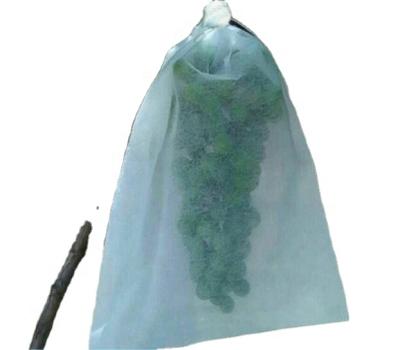 China Eco - Friendly Customizable High Quality Nonwoven Agriculture Product Pad Bags Grape Pad Bags for sale