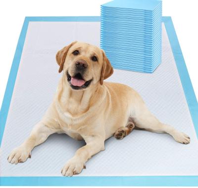 China Viable Best 6 Super Absorbent Puppy Training Mat Manufacturer Disposable Diapers for sale