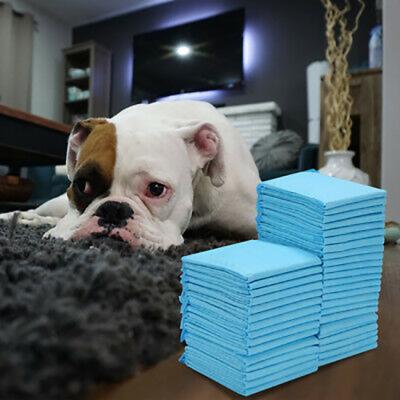 China Sustainable Wholesale Super Absorbent Pet Dog Pee Training Pads for sale