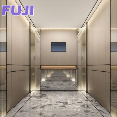 China Hotel 800KG 10 People Customization Design Passenger Elevator For Construction Building for sale