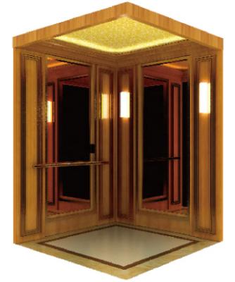 China Residential Elevators Customized Small Mini Villa Elevator Elevators Modern Construction Price for sale