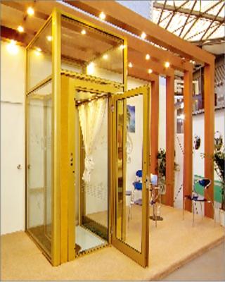 China Newest Design Hotel Villa Elevator Lift Screw Home Indoor Home Elevators for sale