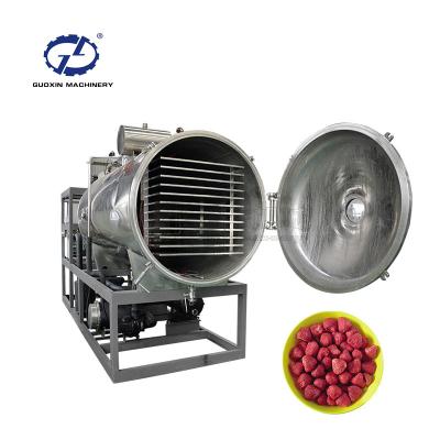 China Guoxin Sweet Potato Drying Machine Freeze Drying Machine Energy Saving Commercial Sesame Seeds Drying Machine for sale