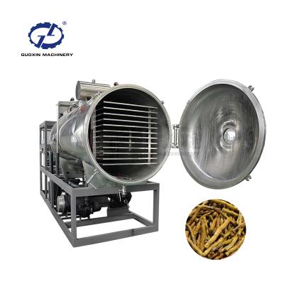 China Guoxin Dryer Fruit Drying Equipment Tomato Dehydrator Energy Saving Vegetable Freeze Drying Machine for sale