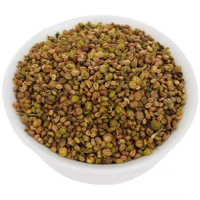 China Huaou supply dried dill seed with low price for spices (Whatsapp: +8619894318705) for sale