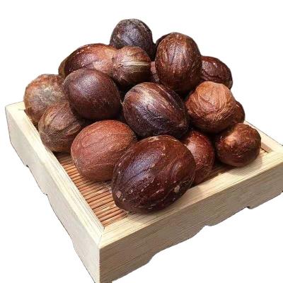 China Spice Wholesale Supplier New Cultured Dried Nutmeg With Shell In Good Price for sale