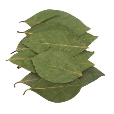 China Dry berry leaves supplier price for sale