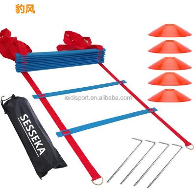 China PP Speed ​​Agility Training Kit - Includes AGILITY LADDER with toiletry bag, 5 disc cones and resistance parachute. Use the device mine for sale