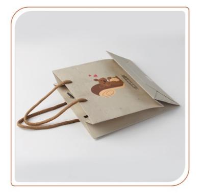 China Glossy Lamination Paper Packaging Food Bags, Card Paper Shopping Bag With Custom Logo for sale