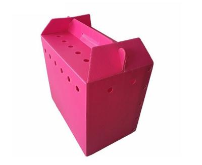 China New Style polypropylene corrugated plastic danpla sheet carton box boxes pp hollow corflute packaging for sale