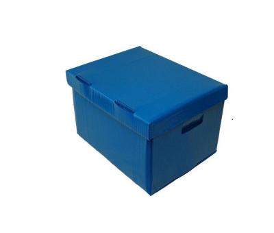 China Waterproof PP Corrugated Plastic Trays Coroplast Box Corrugated Plastic Box / Twinwall PP Box / Corflute for sale