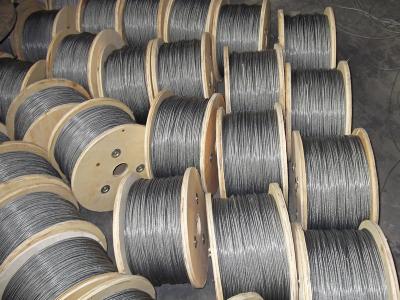 China 316 7x7 Stainless Steel Wire Rope for sale