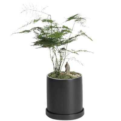 China Eco - Friendly Ceramic Flower Pots Flower Pot Selling Like Hot Black Flower Pot for sale