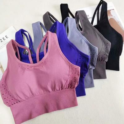 China Wholesale Antibacterial Elasticband B359 Wide Stretch Seamless Gym Sports Shark Wear Yoga Top With Built In Bra for sale