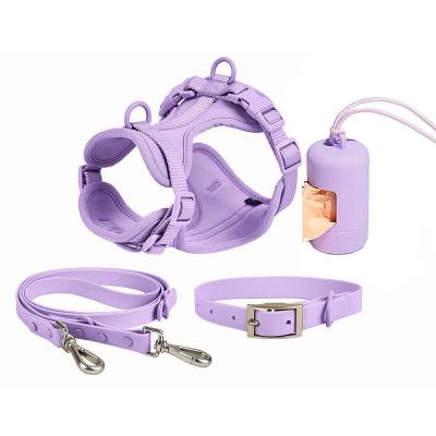 China Viable Factory Custom Designers Purple Logo Wholesale PVC Gently Chasing Waterproof Small Dog Collar And Leash Harness Set for sale