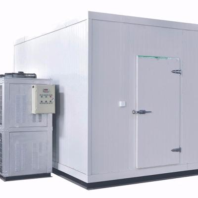 China Food hot sale walk in cooler compressors with high quality/cold chamber for sale