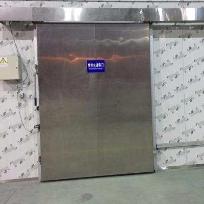 China food & Beverage Factory New Arrival Useful Manual Sliding Door For Cold Room for sale