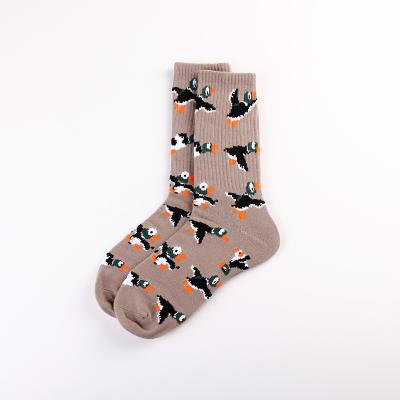 China QUICK DRY Men's Unisex Family Gray Dress Socks Cotton Colorful Cardboard Socks Boy's Crew Socks For Women for sale