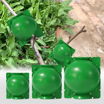 China Modern Hot Sales Rooting Grow Plant Breeding Ball Container Grafting Box To Root Thruster For Outdoor Garden for sale