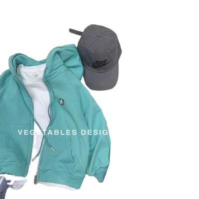 China Boys and girls hoodie coat baby cardigan2021Spring sustainable Korean clothing medium and big kids sweater zipper shirt spring and a for sale