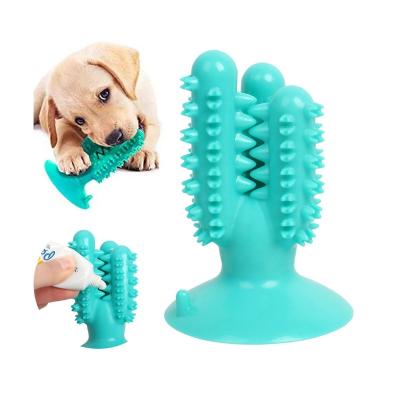 China Sustainable 2021 Rubber Cactus Puppies Teeth Cleaning  Dog Toothbrush Chew Toys For Aggressive Chewers for sale