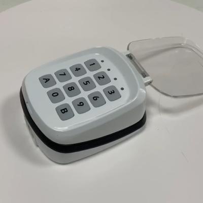 China LED Touch Control Wireless 2-Channel Keypad For Automatic Door Opener for sale