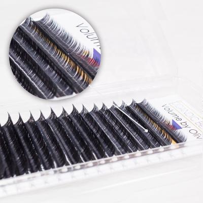 China Feather Eyelash Extension Provides 0.03 0.05 0.07 Individual Eyelash Extensions Superroot Russian Volume Lash Extension Lash Trays for sale