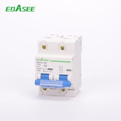 China 100A AC Supplier CE MCB Mini Circuit Breaker In 6kA Current for sale