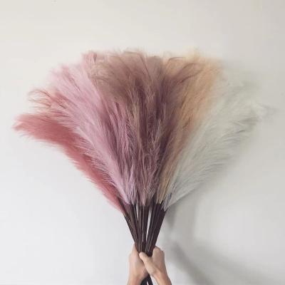 China Large stem of 18 touch natural branches Full Plume Artificial Pampas Grass fluffy to wedding decor for sale