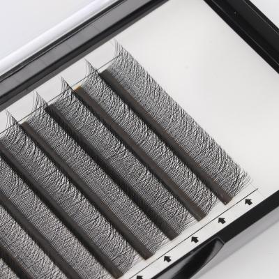 China Custom Lash Packaging Silk PBT 3d Full Volume Fans Lash Three Leaf Clover Eyelash Extension .05 Clover Lash Extensions .07 cc D Curl for sale