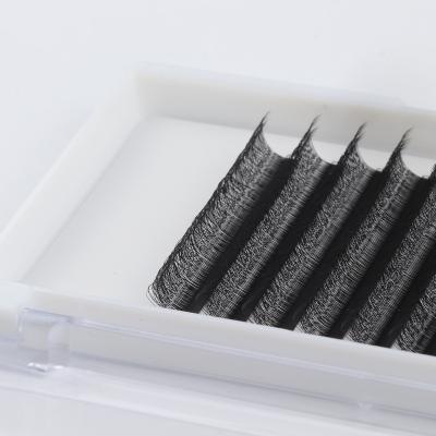 China Different Soft Black 0.07mm Black Lash Extensions 3D Full Volume Natural Eyelash Extensions for sale