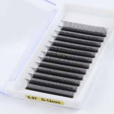 China Jeleap Natural Long Eyelash Extension Ellipse Wick Extension Bulk False Individual Natural Flat Matte Trays Long In Stock for sale