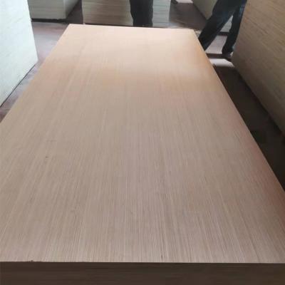 China Traditional E/V face/back plywood 18mm 12mmm 9mm poplar core 5.5mm etc. for sale