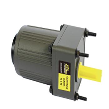 China Best Selling AC Motor 5IK40A Power 40w 1300rpm / 1600rpm 4pole Torque 3NM 110V/220V 5ik40A-A for sale