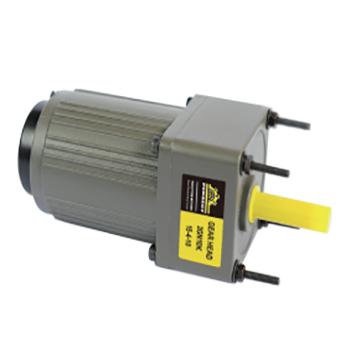 China Best AC Motor 110v / 220v Single Phase Micro Gear Motor High Speed ​​Motor With Gear Reduction 2IK6GN-C for sale