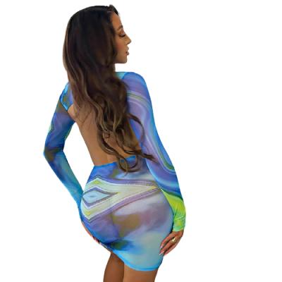 China Breathable Mesh Pattern Printing Transparent Long Sleeve O-Neck Side Hollow Out Partywear Mini Dress Women for sale