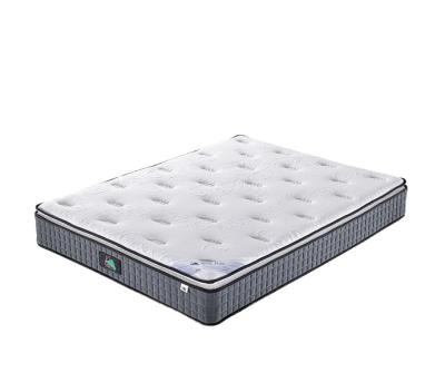 China Foldable Super Comfort Sleepless Roll Up Cheap Spring Foam Bed Mattress Compression Bed Sponge Dormitory Mattress for sale