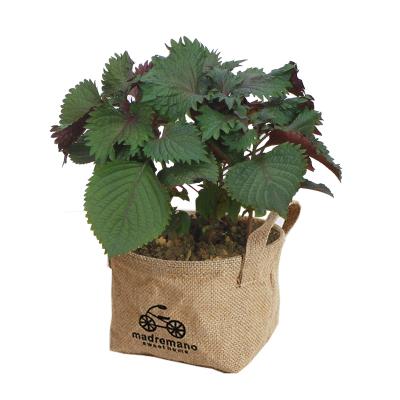 China Eco-friendly Wholesale Original Garden Jute Plant Pots Vintage Planter Jute Grow Bags for sale