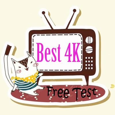 China 6K IPTV Trial Reseller Panel M3u Free Trial With Europe Germany Switzerland Netherlands 4K Trial For TV Smart TV Box Control Panel for sale