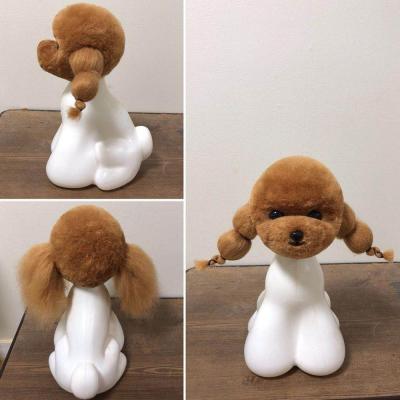 China Sustainable dog head model with Brown furs, dog model for grooming practice for sale