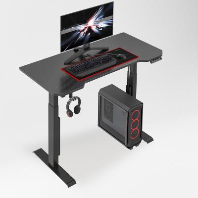 China Other Standing Bestselling Electric Computer Table Double Motor Height Adjustable Gaming Table PC Desk for sale