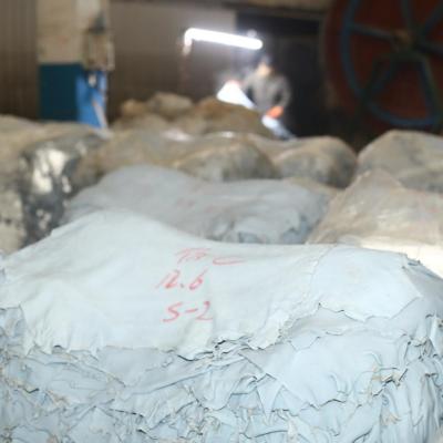 China Various Grades Factory Water Resistant Wholesale Wet Blue Sheepskin Wet Blue Leather Sheep Hide Thickness And Size Support Customization for sale