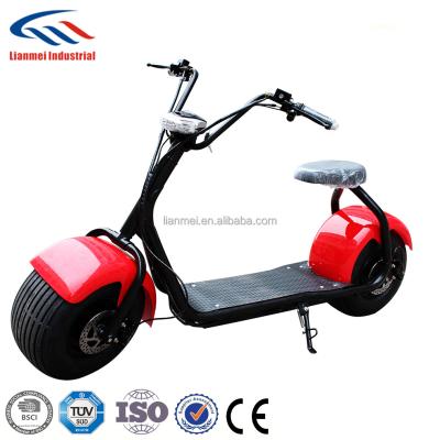 China 1000W Two Wheel Fat Tire Electric Scooter LME-1000C1 With CE 18*9.5inch for sale