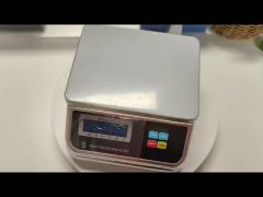 Digital Weight Scale
