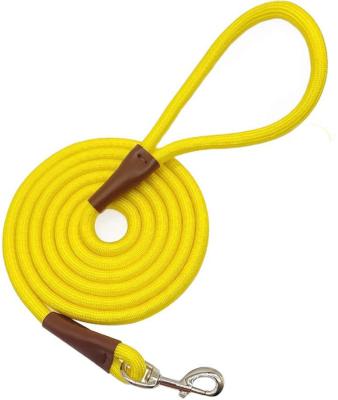 China Thoughtful Promotional Price Classic Solid Colors Durable Mountaineering Rope Nylon Dog Leash for sale